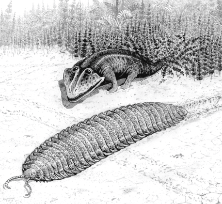 Eryops stalking Arthropleura in the Carboniferous period