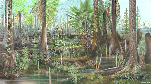 Carboniferous trees