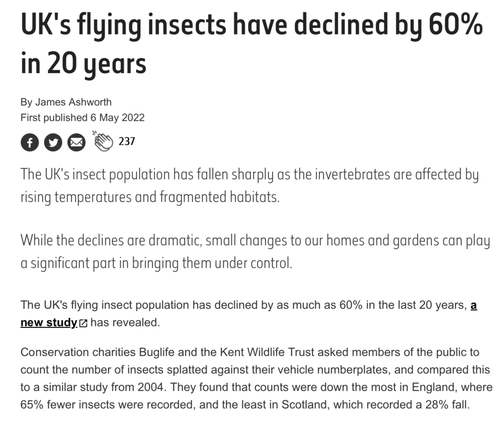 News article about declining number of insects
