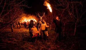 Wassailing at night