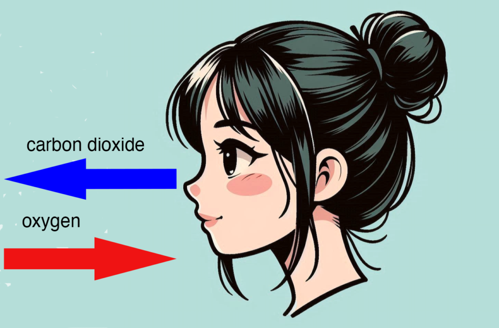 girl breathing out carbon dioxide and breathing in oxygen