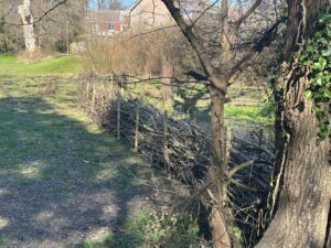 The sustainable park (2)